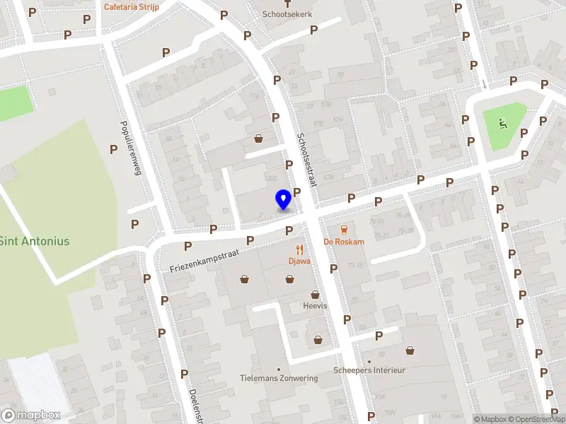 Het meisje van heel veel