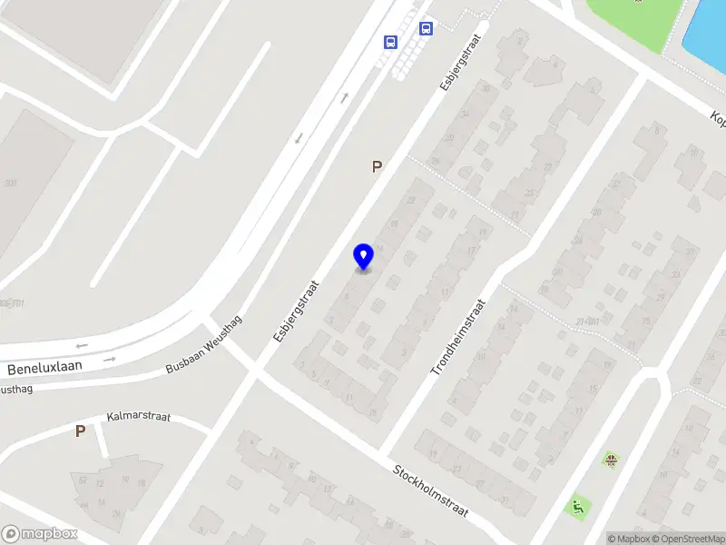 Autoservice de grijze gans