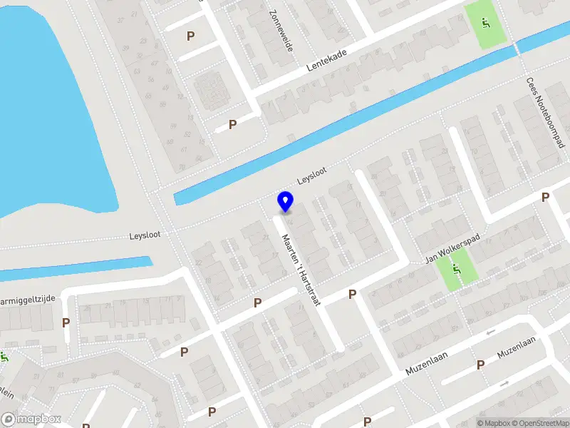 Geldens Orthopedagoog-Generalist