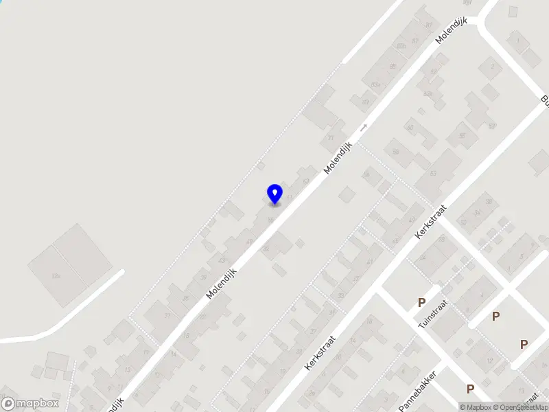 Bee on the Loose Creative Design