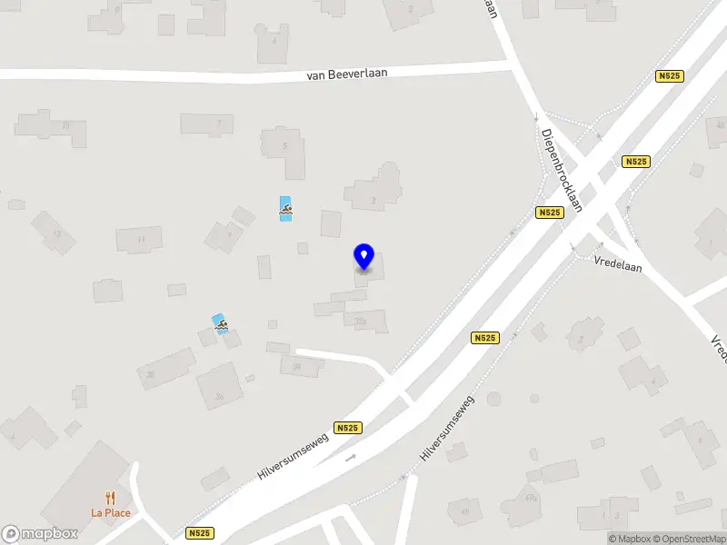 Camille van den Brink, GZ-psycholoog