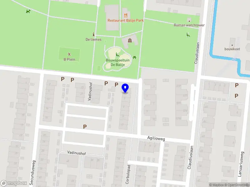 Nieuw bedrijf The Blue Cars