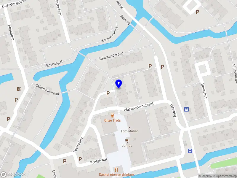 Dylan Schouten services