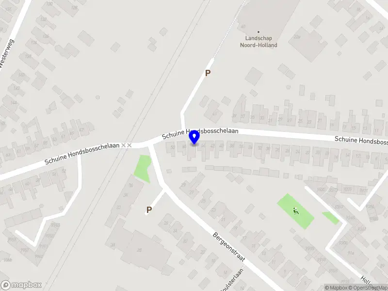 Martien Bakker Business & Consultancy Services