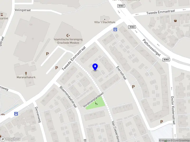 Talento - Van talent naar zelfinzicht