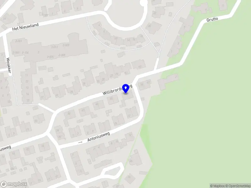 The Dot Guitars and Basses