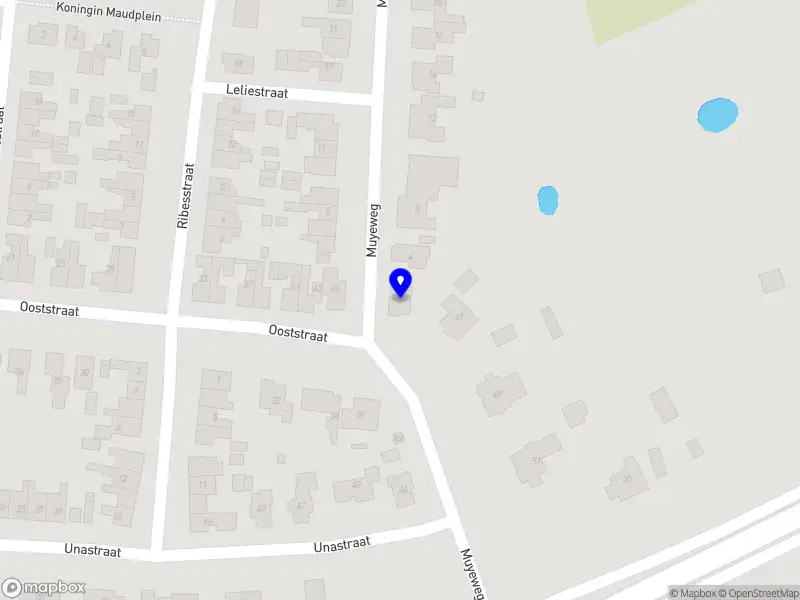 Lisette Maas-Scheele, Verpleegkundig Specialist AGZ