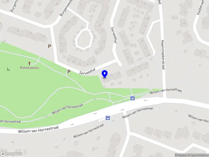 Ferdi Leenders Development