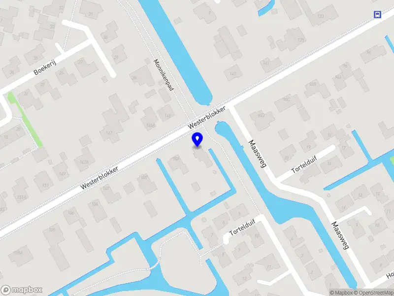 Next Play Venture Partner