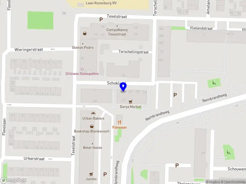 Snow lion professional cleaning