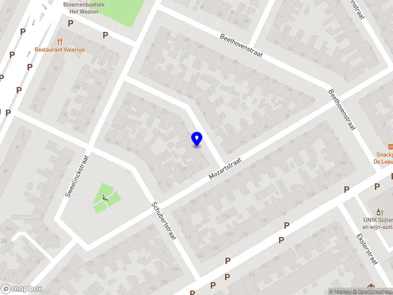 Nicolette Chauffeursdienst