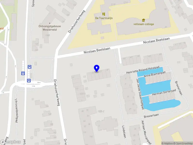 Winnubst Photography