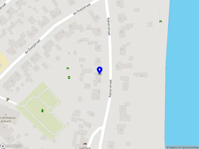 Skulls and Stuff(ed)