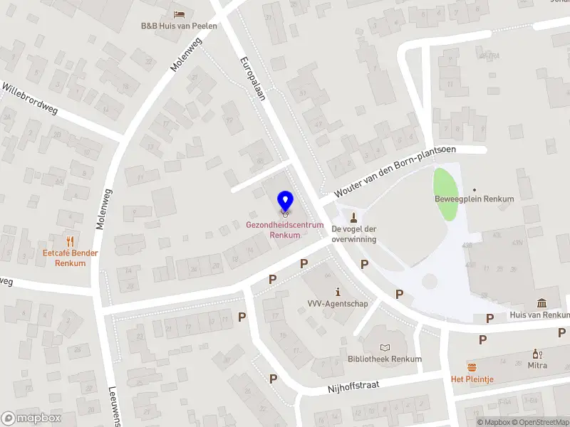 Handtherapie de Gelderse Vallei