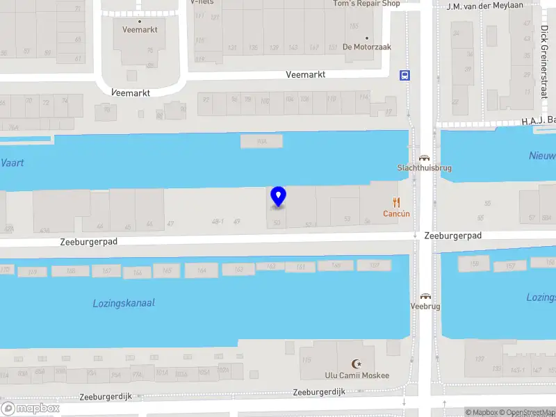 Silvia Gonzalez de Alba