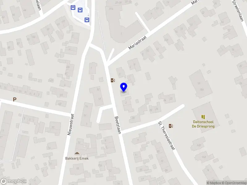 Diewke de Haen Impact & Beweging