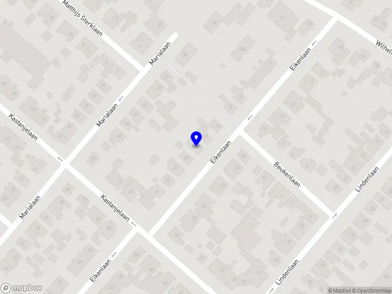 Maurits Alexander – BJJ & Performance