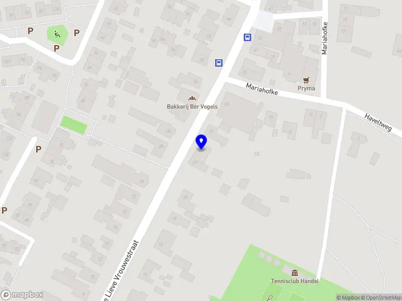 Willeke van der Steijn