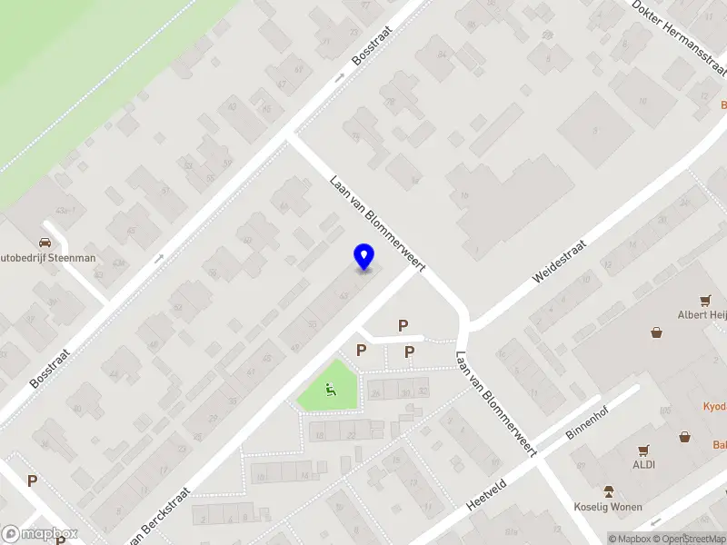 Trust The Process – Sport & Ontwikkeling