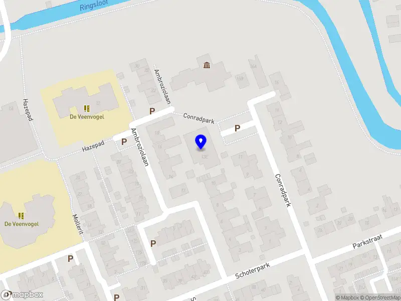 Professioneel Traden