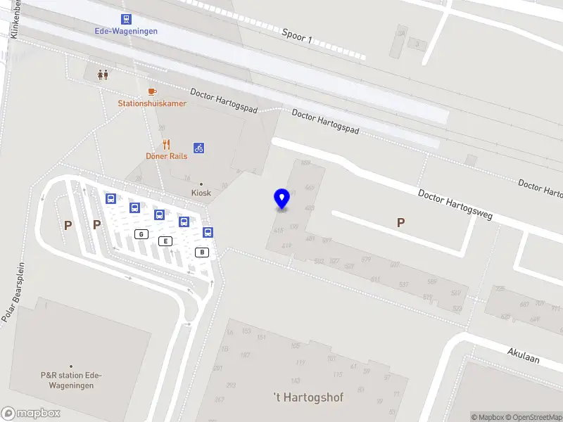 SS-Horren & Raamdecoratie