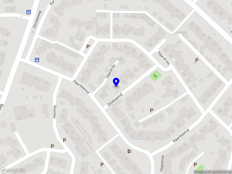 R. Alting Siberg - Verpleegkundig Specialist GGZ