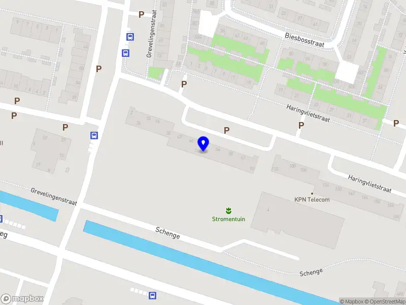 Abadit's General Hair Styling