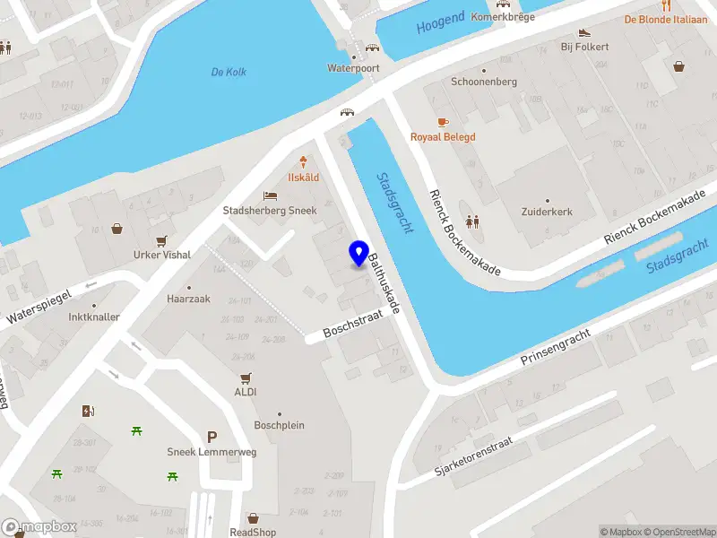 Famke Schoeman | Online Business Management