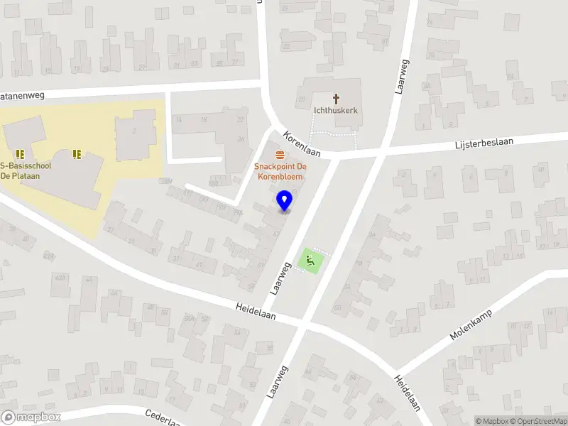 NF Coaching & Training