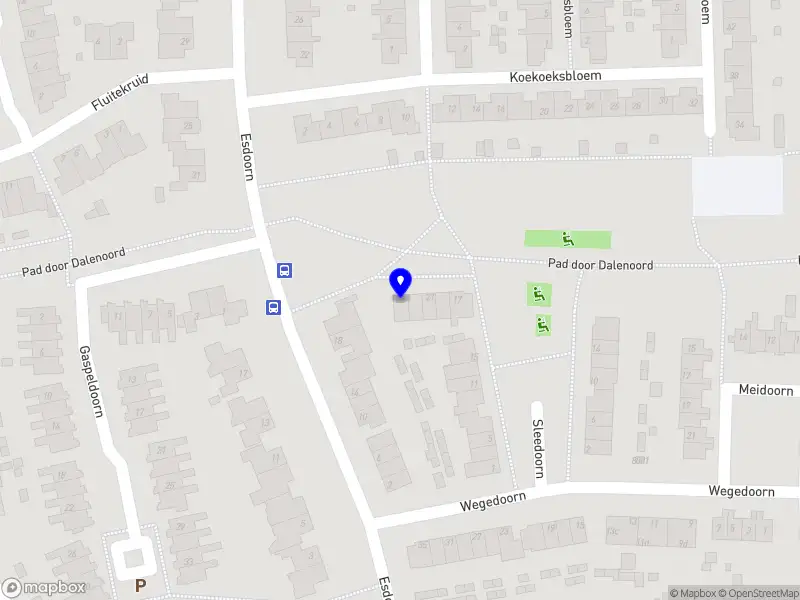 Wadlopen Wie Wad Waar