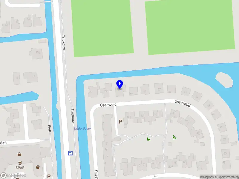 Mind Capital Academy