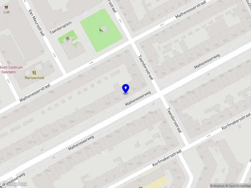 Lidia Guedes Music and Strings