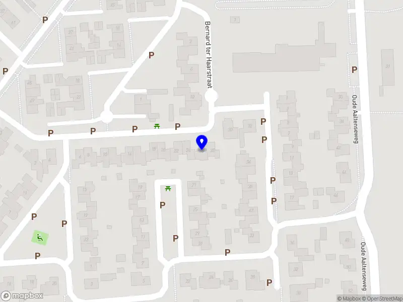 Thomas Eiting - Toezicht & Advies