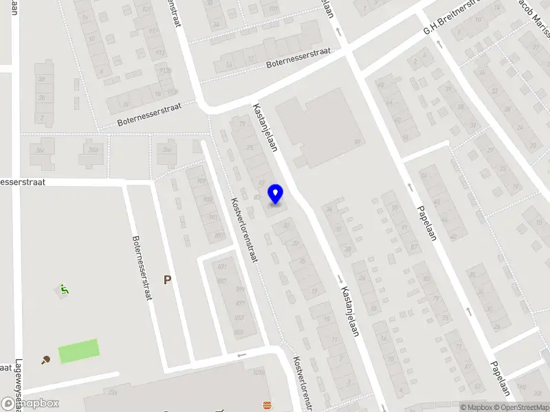 Nieuw bedrijf ALON Consulting