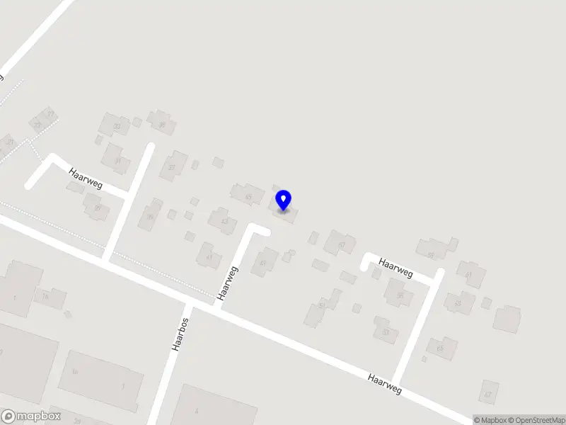 Barbus Hospitality Services