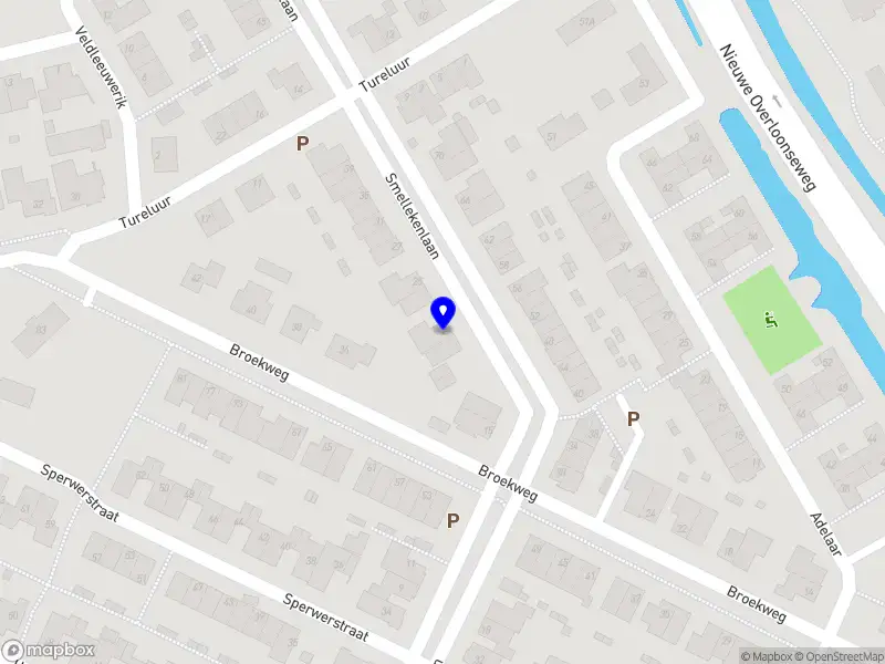 Vintage reispaleisje