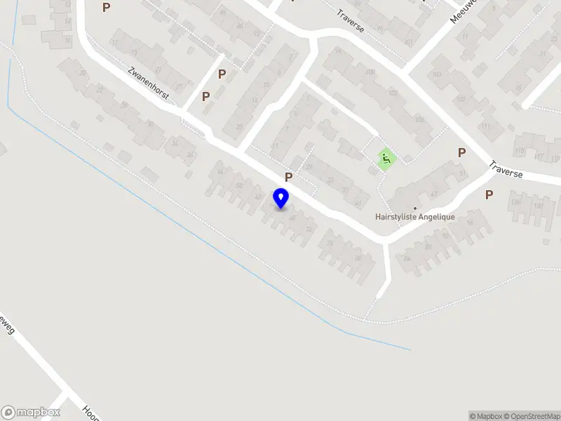 Reeva Maeve Bronkracht