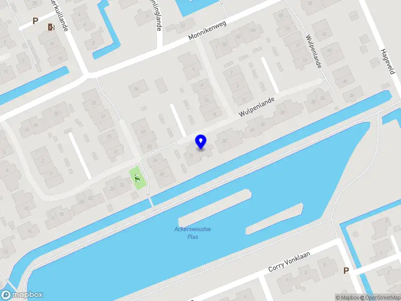 Dessens project-en procesmanagement