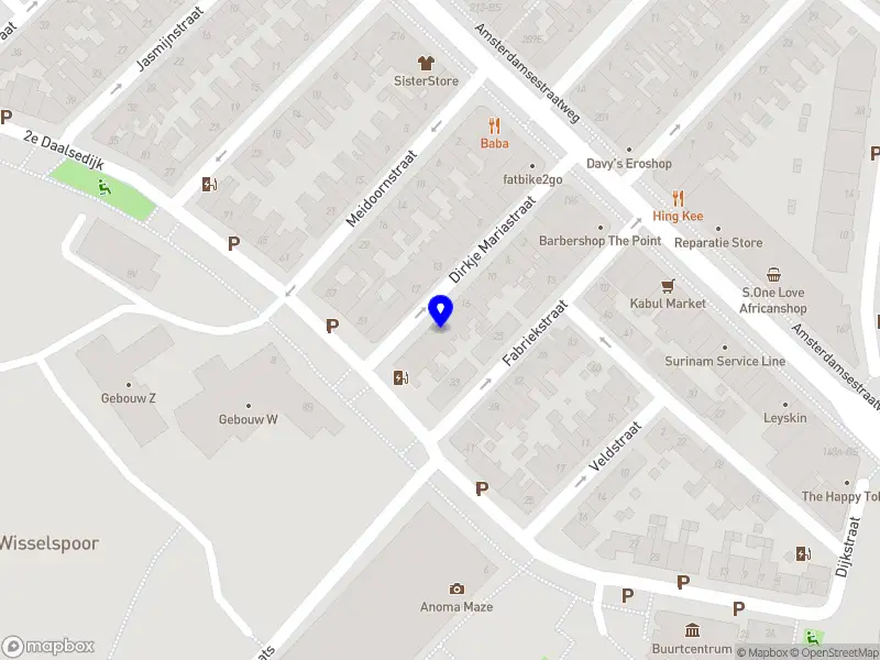 Wetzels Veterinary Radiology