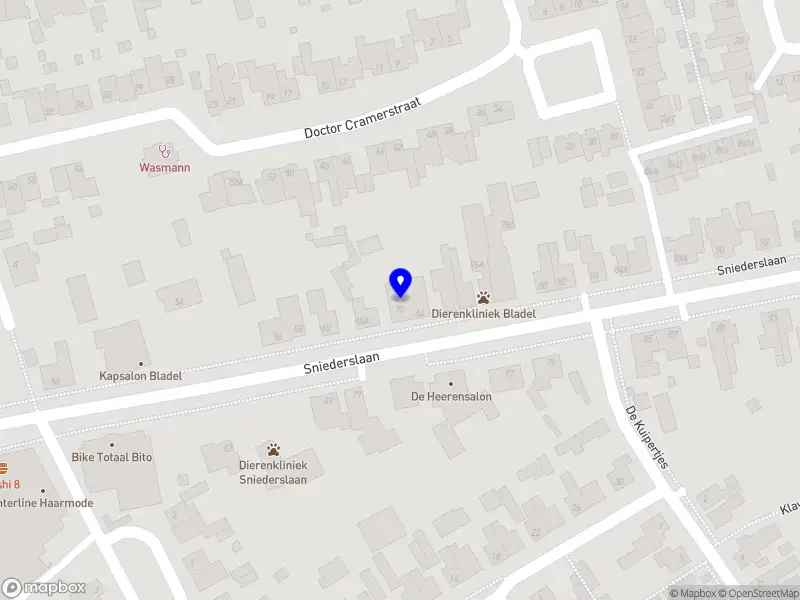 Kameraet Sniederslaan B.V.