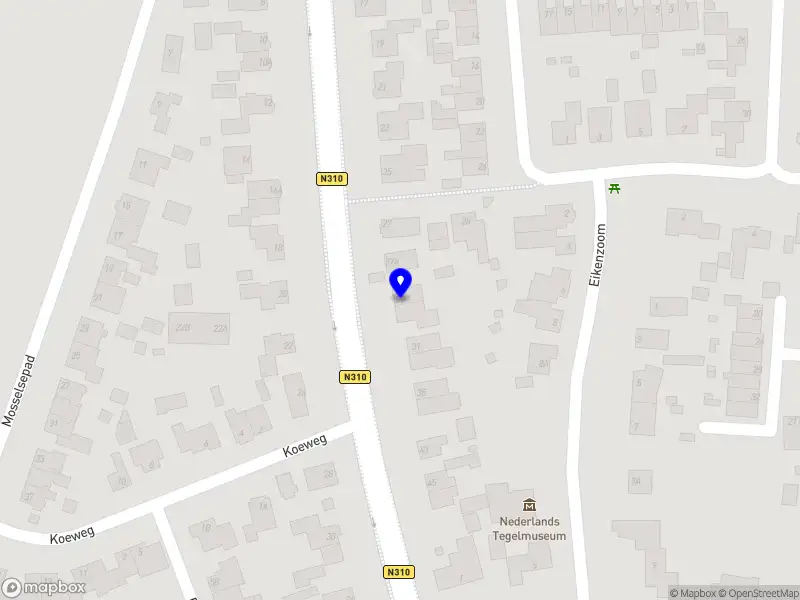 FM software development