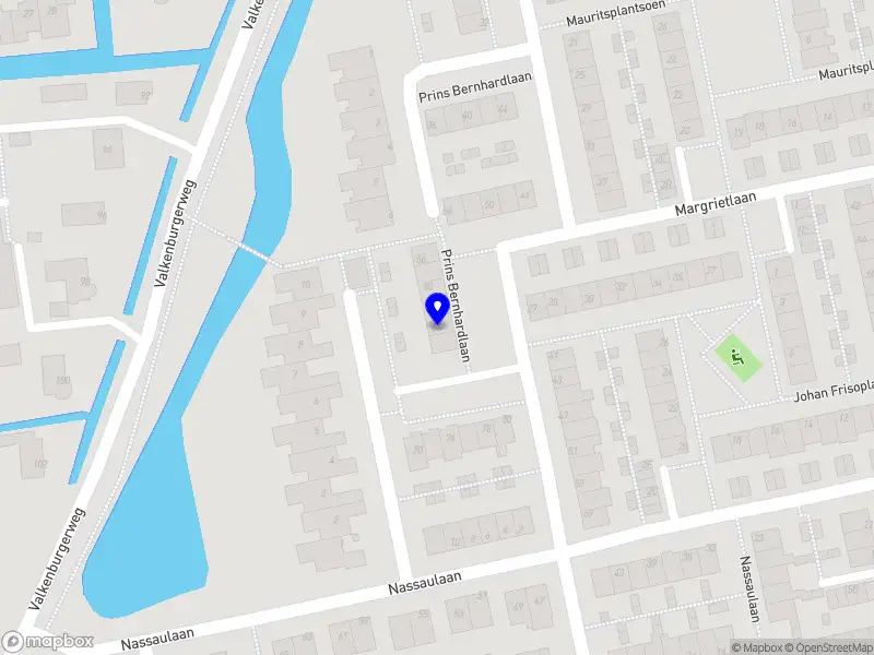 Hakuna Matata - Jongerencoaching