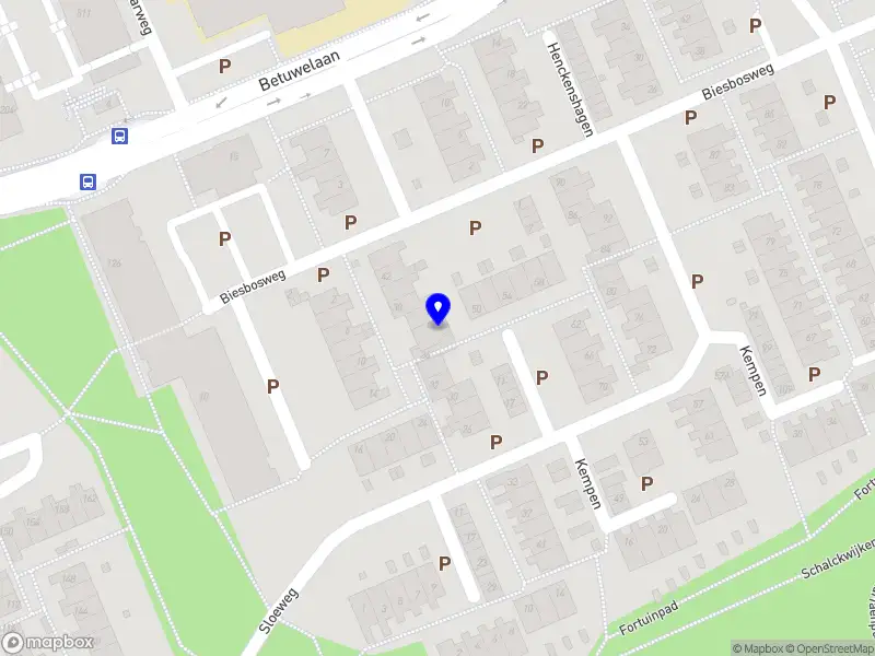 The Happiness Café Haarlem