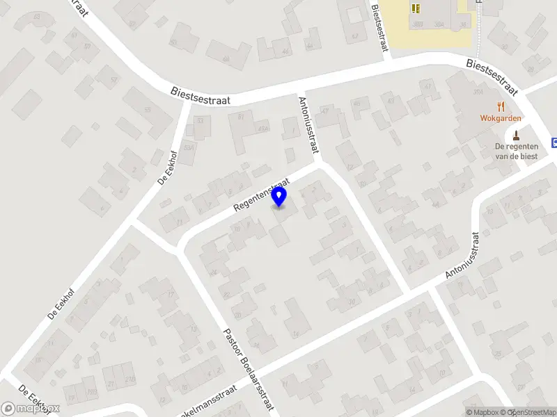 Fleur Haenen Management B.V.