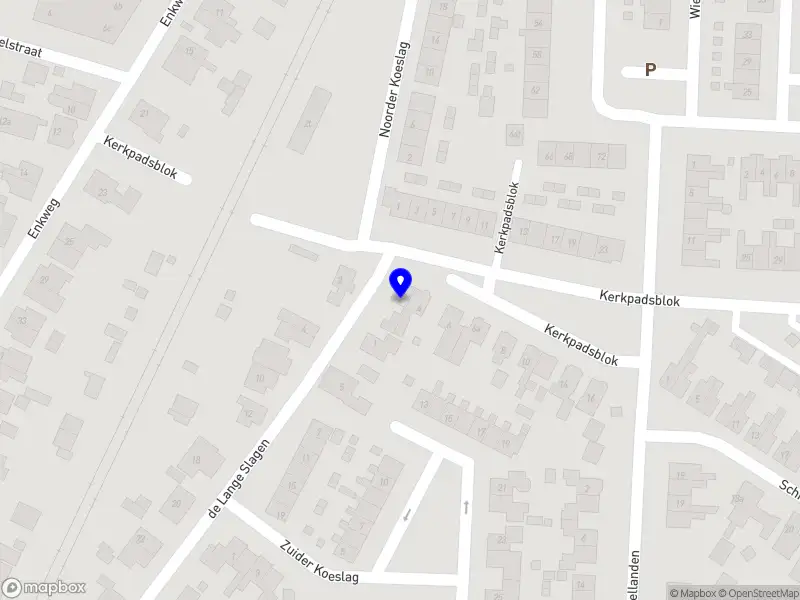 Roos Dreijer - Systemisch werk