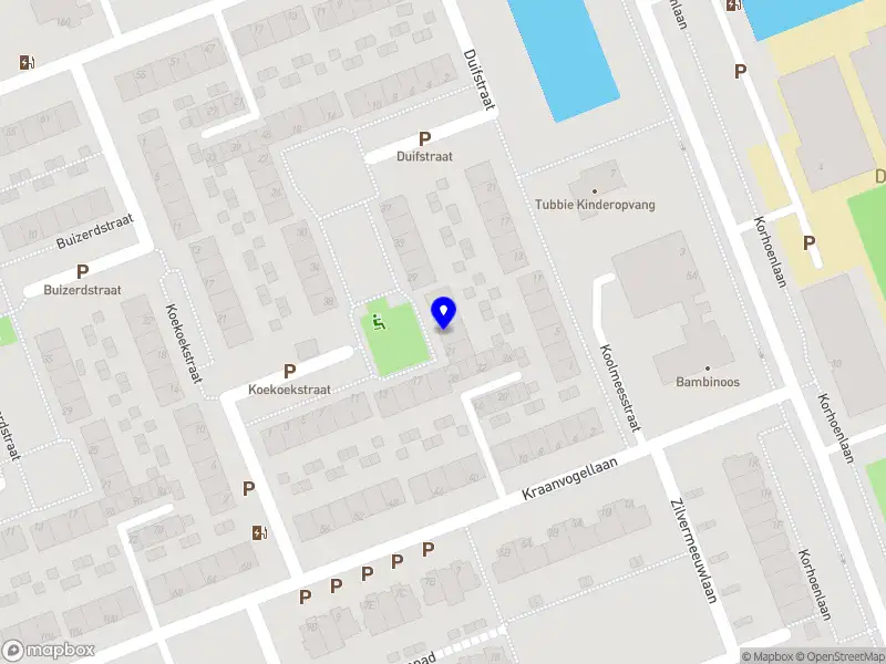 Say Yes Coaching & Training