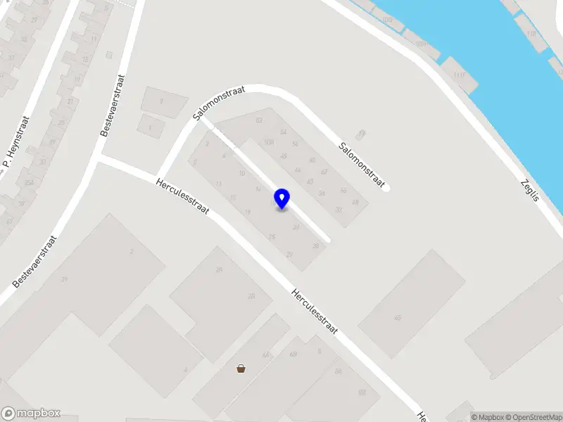 Rode leeuw schoonmaakdiensten