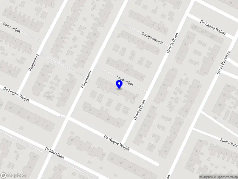 Berghuis Livesafing Academy