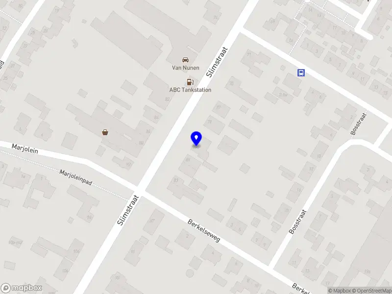 Savee Organisatie Advies