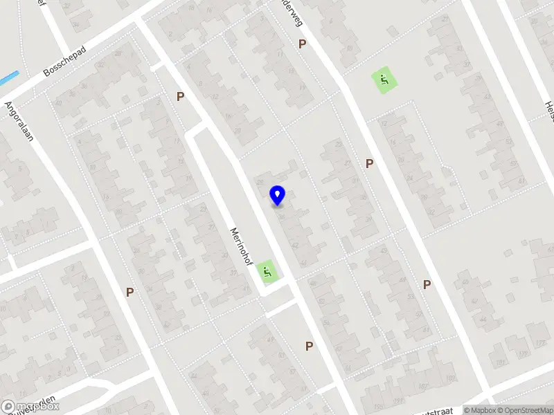 Saturnino Group B.V.